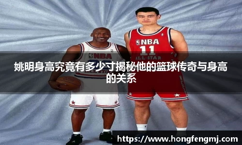 完美体育